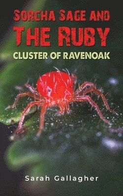 Sorcha Sage and the Ruby Cluster of Ravenoak 1