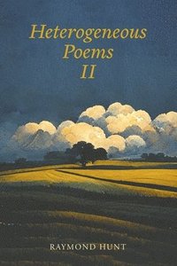 bokomslag Heterogeneous Poems 2