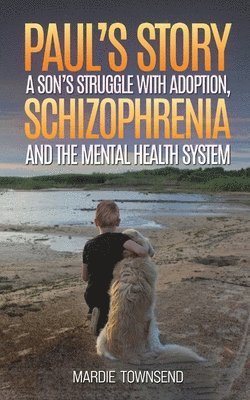 bokomslag Pauls Story: A Sons Struggle with Adoption, Schizophrenia and the Mental Health System