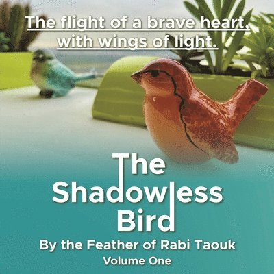 Shadowless Bird 1