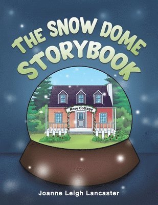 bokomslag Snow Dome Storybook