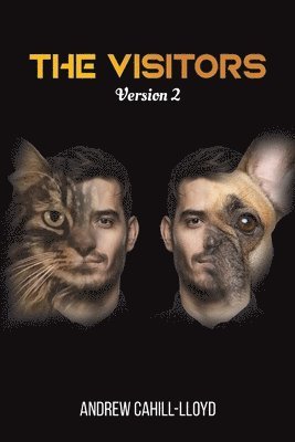 Visitors - Version 2