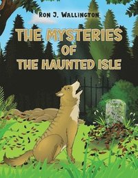 bokomslag Mysteries of The Haunted Isle