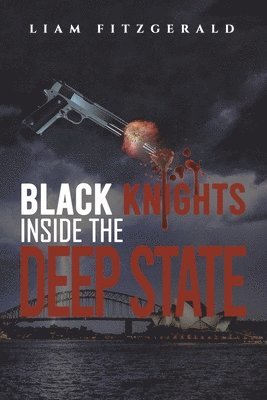 bokomslag Black Knights Inside the Deep State