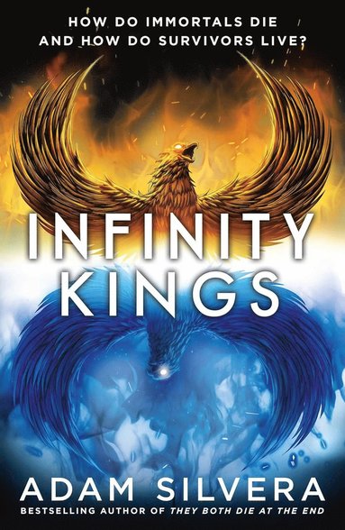 bokomslag Infinity Kings