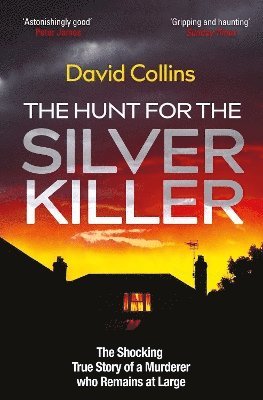 bokomslag Hunt for the Silver Killer