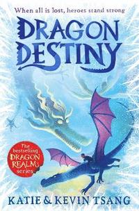bokomslag Dragon Destiny