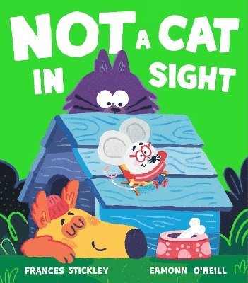 Frances Stickley - Not a Cat In Sight, Häftad