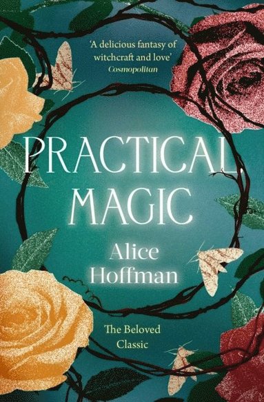 bokomslag Practical Magic: Volume 3