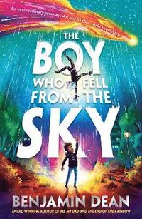 bokomslag The Boy Who Fell From the Sky