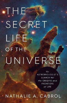 The Secret Life of the Universe 1