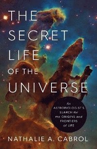 bokomslag Secret Life of the Universe
