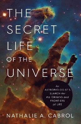 bokomslag Secret Life of the Universe