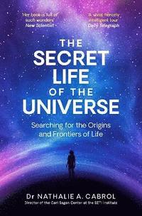 bokomslag The Secret Life of the Universe