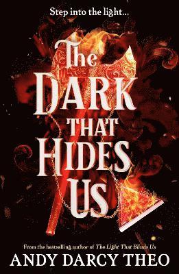 bokomslag Dark That Hides Us