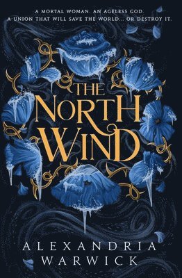 The North Wind 1