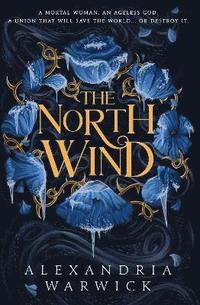 bokomslag The North Wind: Volume 1