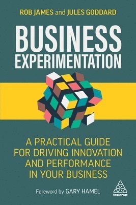 Business Experimentation 1