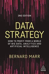 bokomslag Data Strategy