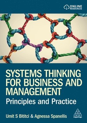 Systems Thinking for Business and Management 1
