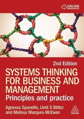 Systems Thinking for Business and Management - Principles and Practice