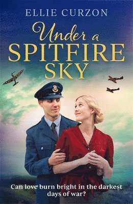 Under a Spitfire Sky 1