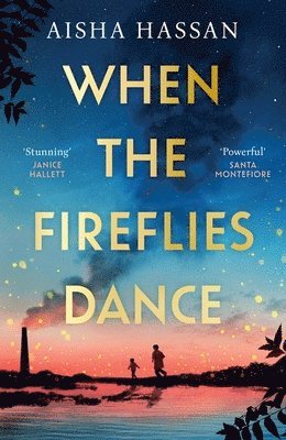 bokomslag When the Fireflies Dance
