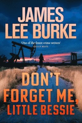 bokomslag Don't Forget Me, Little Bessie