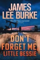 bokomslag Don't Forget Me, Little Bessie