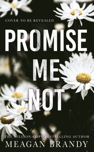 bokomslag Promise Me Not