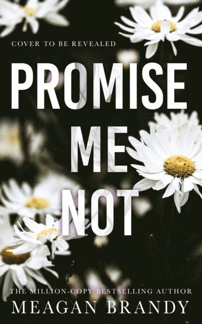 Promise Me Not 1