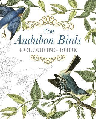 bokomslag The Audubon Birds Colouring Book