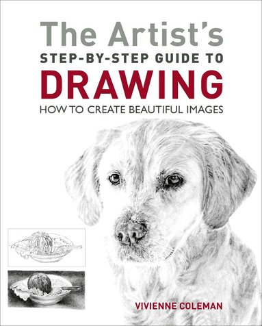 Vivienne Coleman - Artist's Step-by-Step Guide to Drawing, Häftad