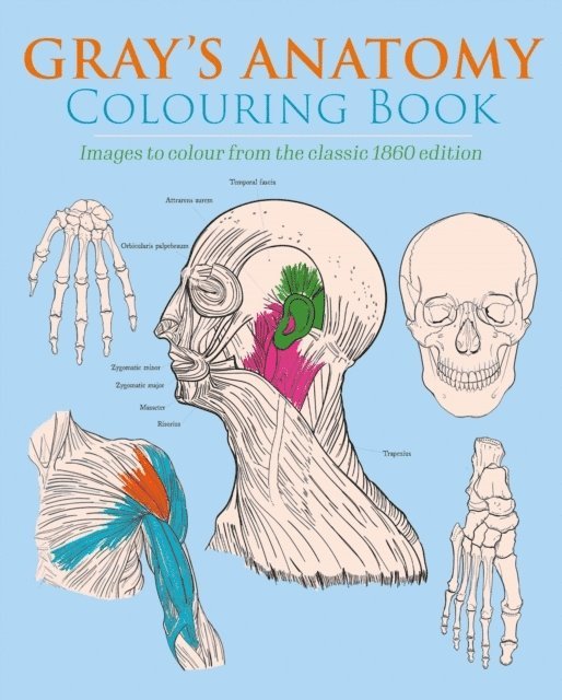 Gray's Anatomy Colouring Book 1