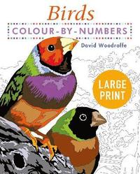 bokomslag Large Print Colour by Numbers Birds