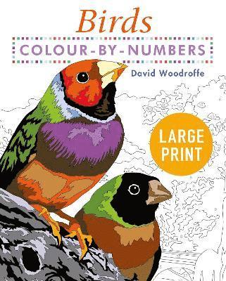 David Woodroffe - Large Print Colour by Numbers Birds, Häftad