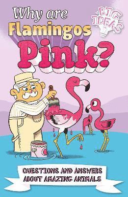 bokomslag Why Are Flamingos Pink?