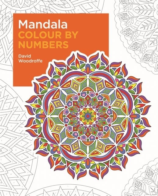 Mandala Colour by Numbers 1