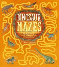 bokomslag Dinosaur Mazes