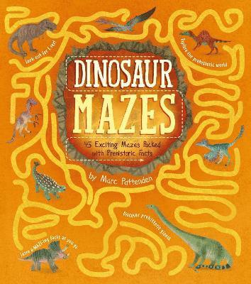 bokomslag Dinosaur Mazes