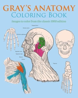 Gray's Anatomy Coloring Book: Images to Color from the Classic 1860 Edition 1