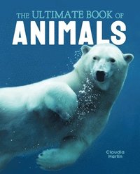 bokomslag The Ultimate Book of Animals