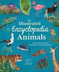 bokomslag Illustrated Encyclopedia of Animals