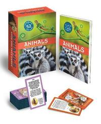 bokomslag Animals: Book and Fact Cards
