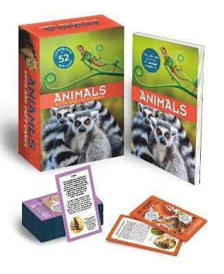Animals: Book and Fact Cards 1