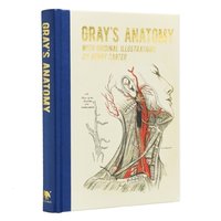 bokomslag Gray's Anatomy