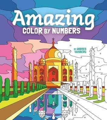 bokomslag Amazing Color by Numbers: Includes 45 Artworks to Colour
