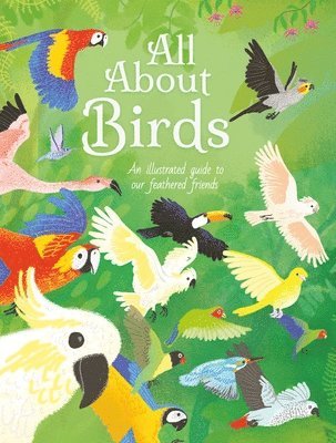 All about Birds: An Illustrated Guide to Our Feathered Friends 1