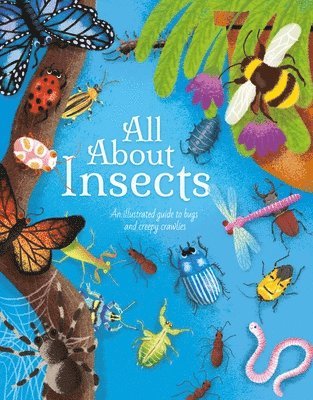 All about Insects: An Illustrated Guide to Bugs and Creepy Crawlies 1
