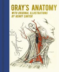 bokomslag Gray's Anatomy